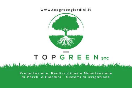 top-green-1-450x298